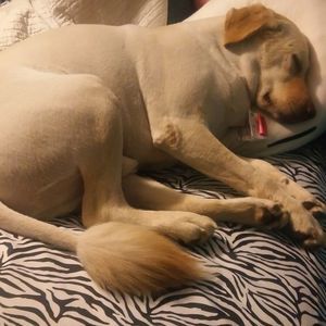 Meet your Posher, Sandra